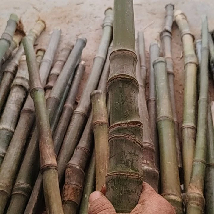 2***签dddddddddd嫡嫡道道是是是