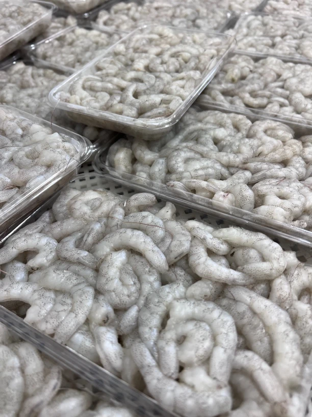 威海纯野生白银虾虾仁 原浆虾仁 无泡水无添加