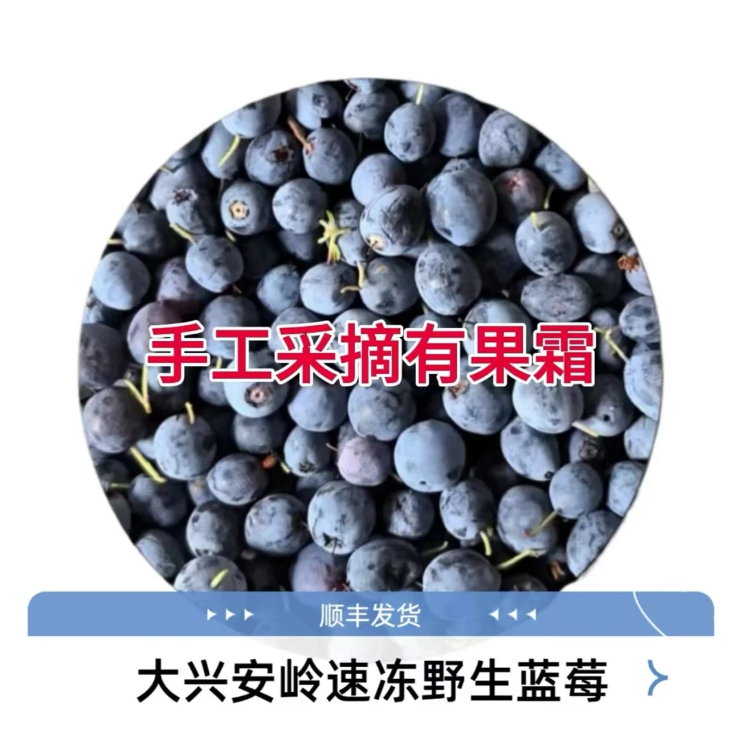 大兴安岭野生蓝莓冻果嘟柿果手摘果无添加榨汁果昔安疗营养1000克