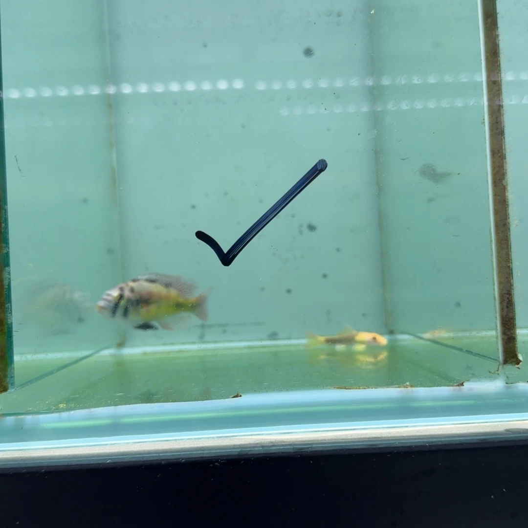视***见慈鲷厚皮。。1422。