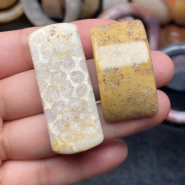 硅化玉未镶嵌颈饰