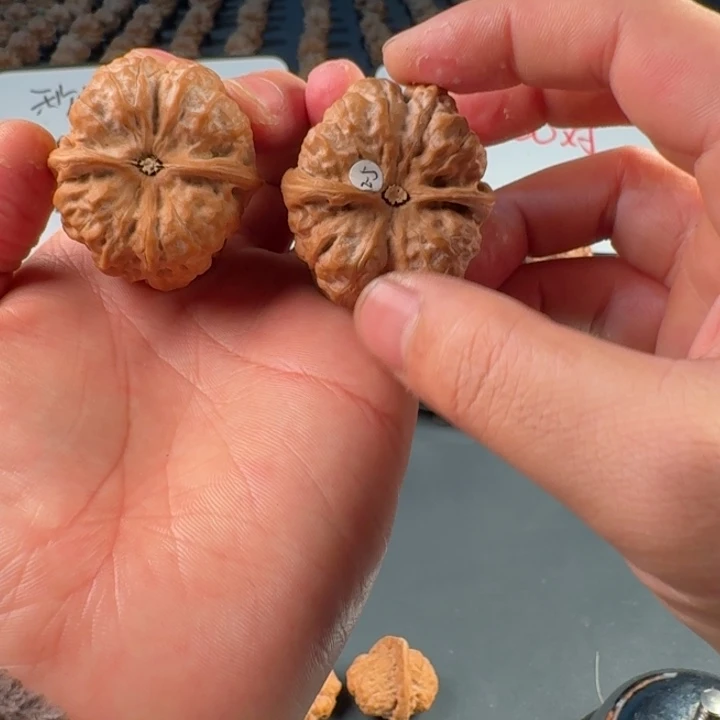 常***边文玩核桃吊坠蛤蟆的眼睛是真的好看啊我的
