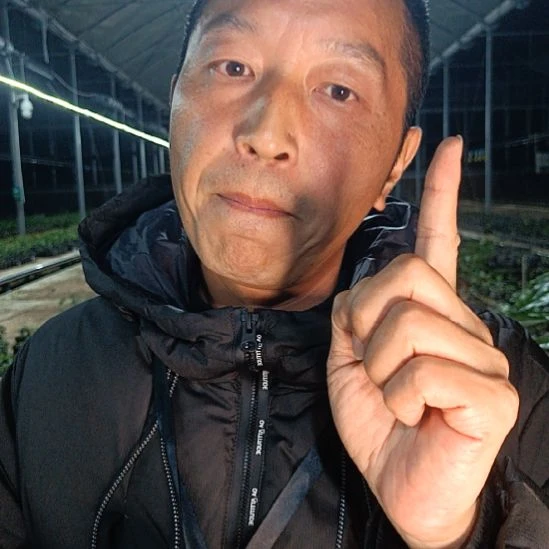 无花朵金弹子肥料017