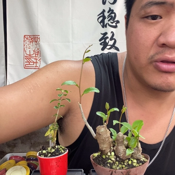 一物一拍所见即所得284