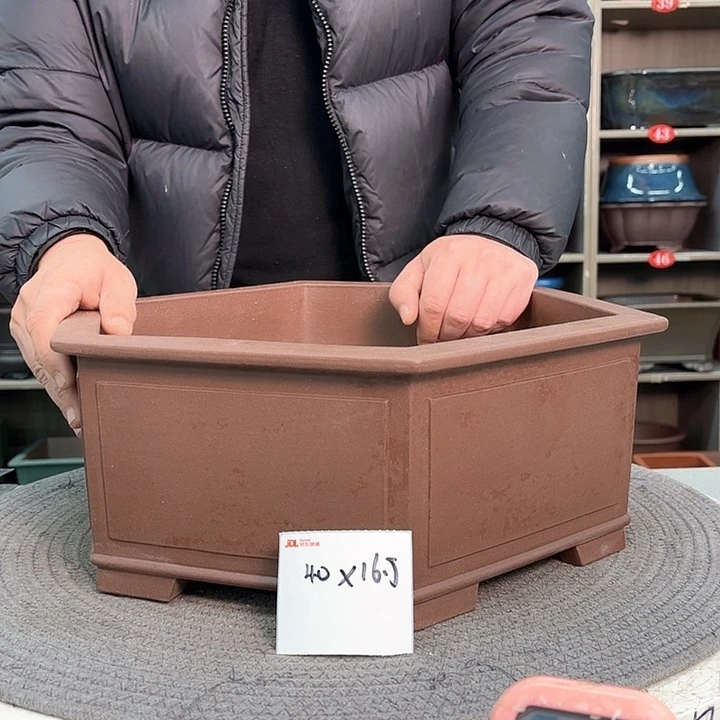 紫砂花盆保**醒！紫砂花是最美丽