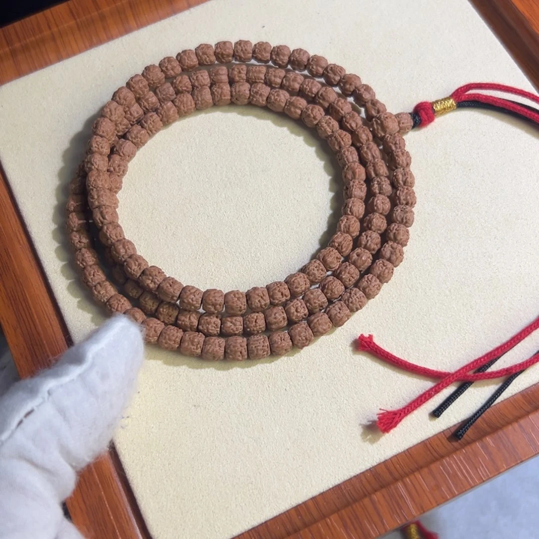 锅*?五爪金龙龙切佛手小金