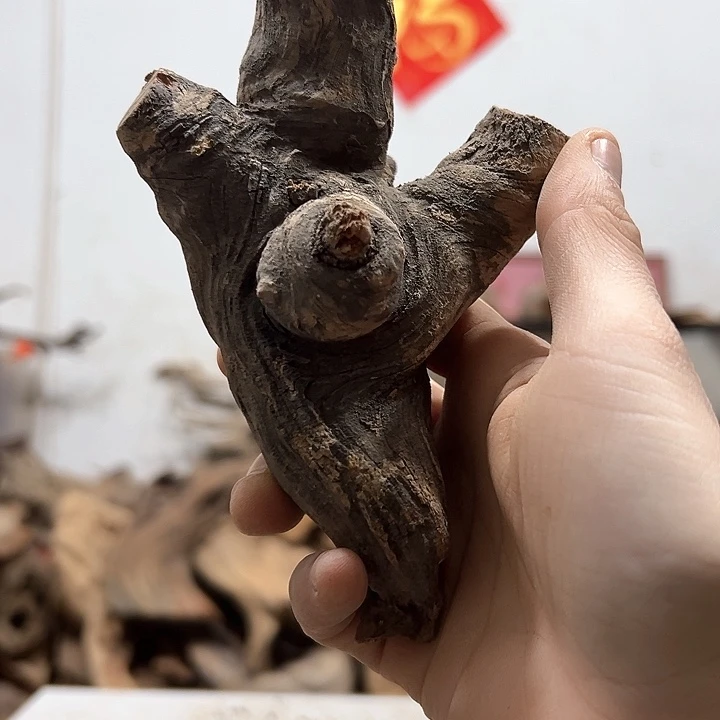柏木图*在我们都是好孩子呀我
