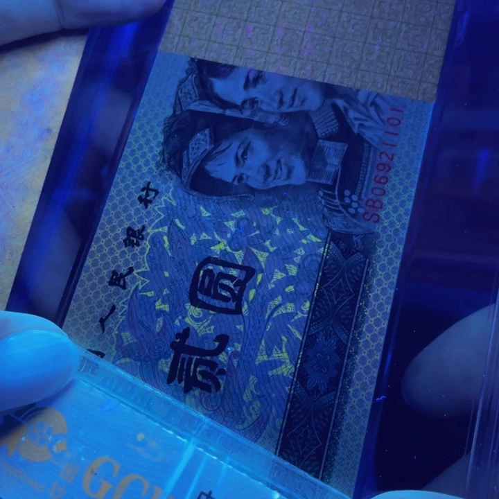 902金网金凤数字荧光无3457朦胧号狮子号06921101