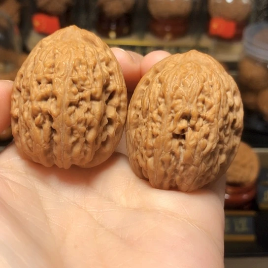 野生小众：滚石全品