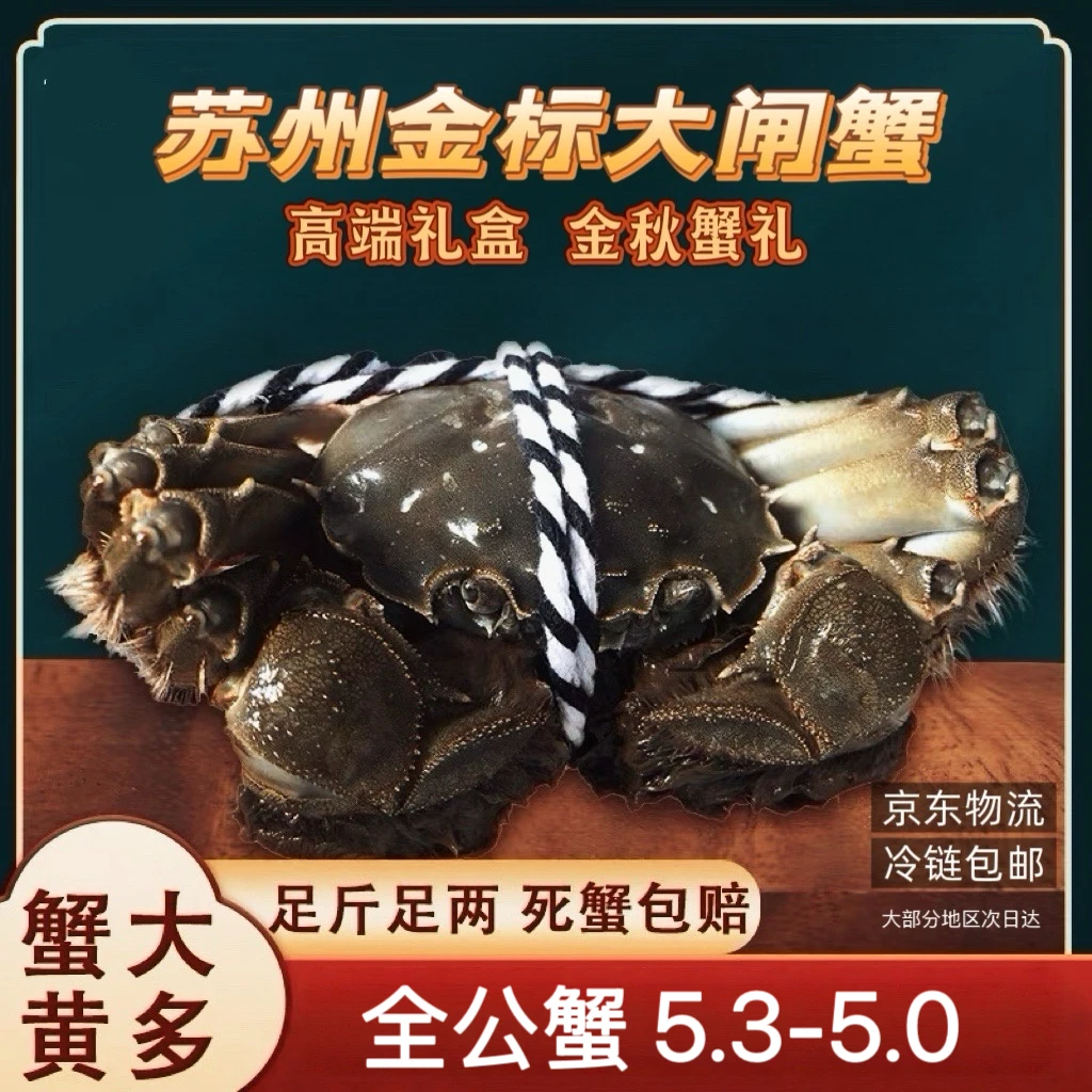 【苏州金标蟹】大闸蟹全公蟹5.3两~5.0两礼盒装包邮8+2到手10只活蟹