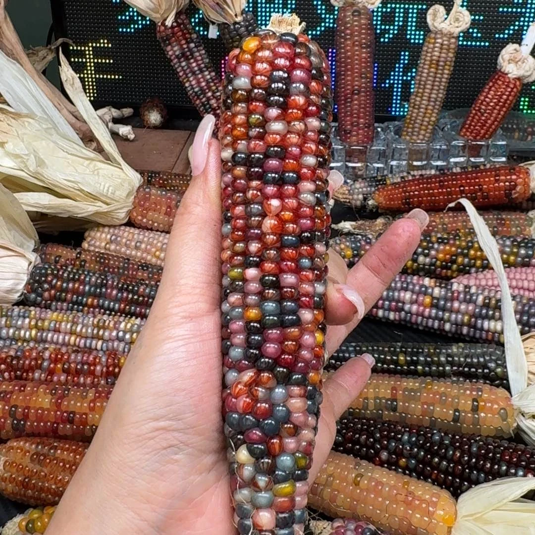 柏香籽/百香籽吊坠火***?