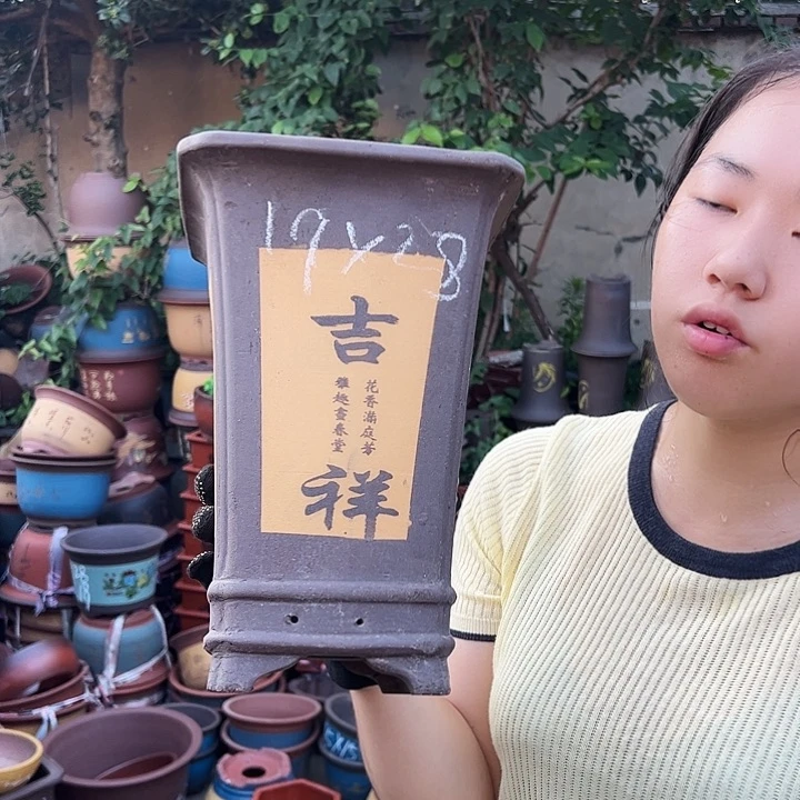 19黄四方花盆花盆