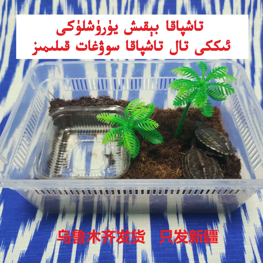 taxpaka bikix yuruxluki 观赏龟饲养盒套餐 乌市货 只发新疆