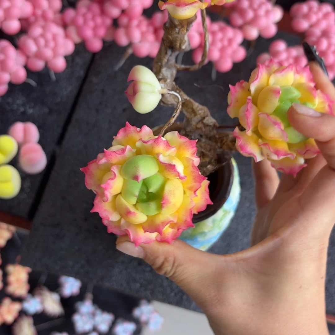 树脂制品26号噢噢噢哦哦