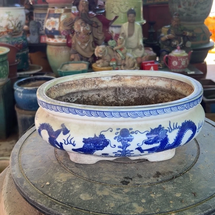 秋**叶我是曾育红包中大奖，