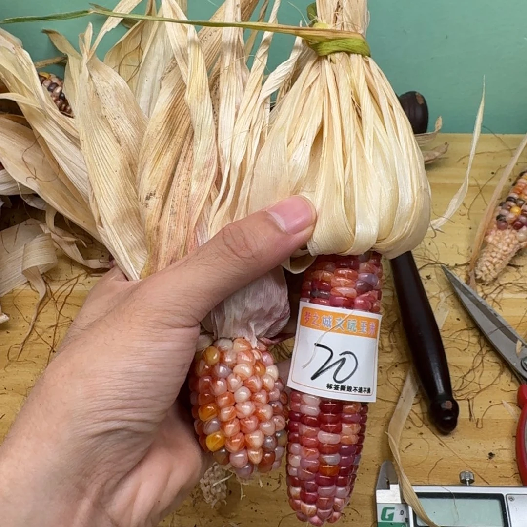 梵***山柏香籽/百香籽吊坠