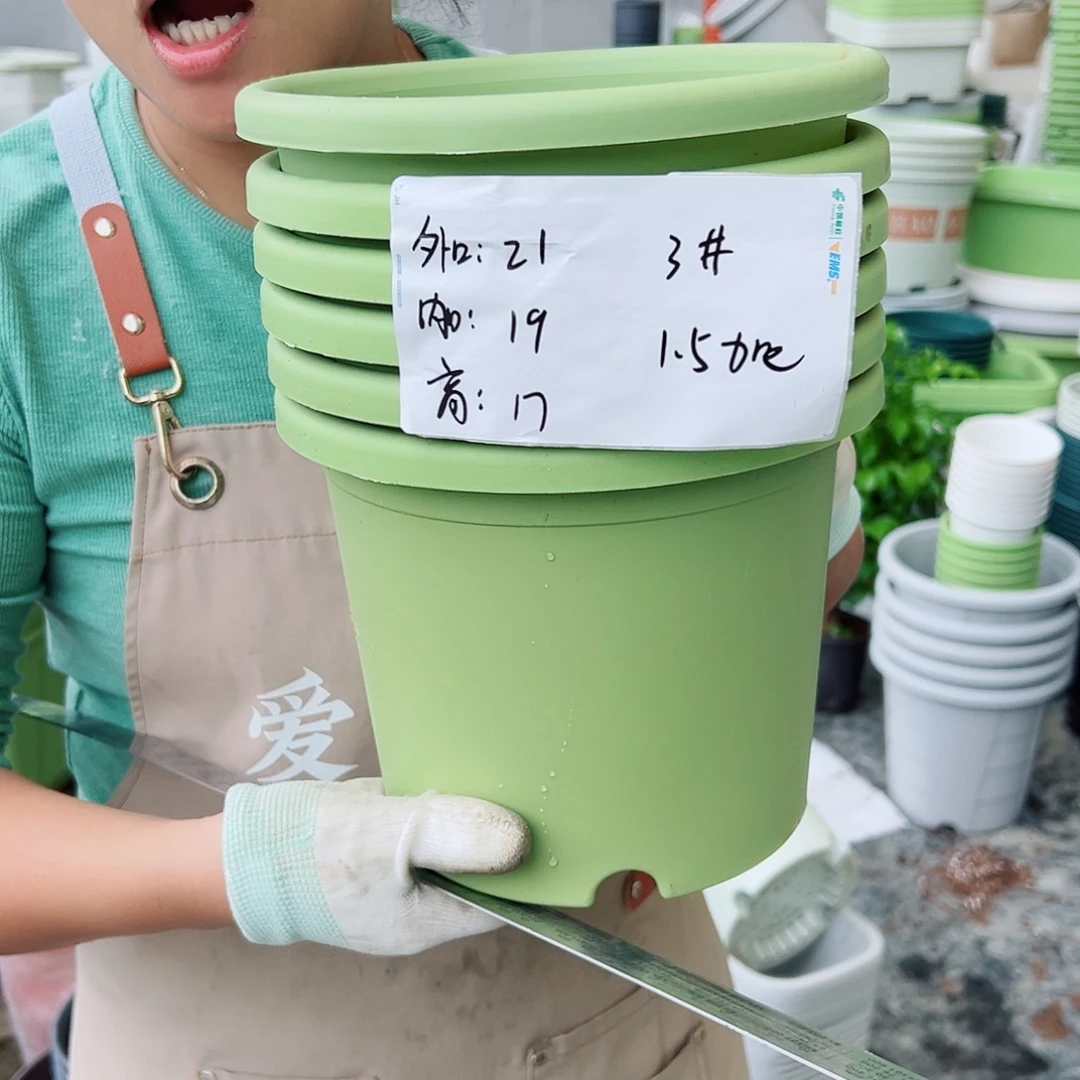 四季盆3#果绿色10个无托