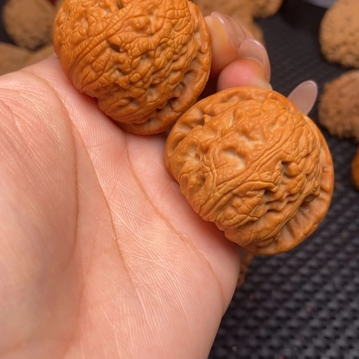 秦岭野生22222222222