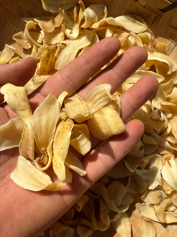 小念推荐云南山货百合