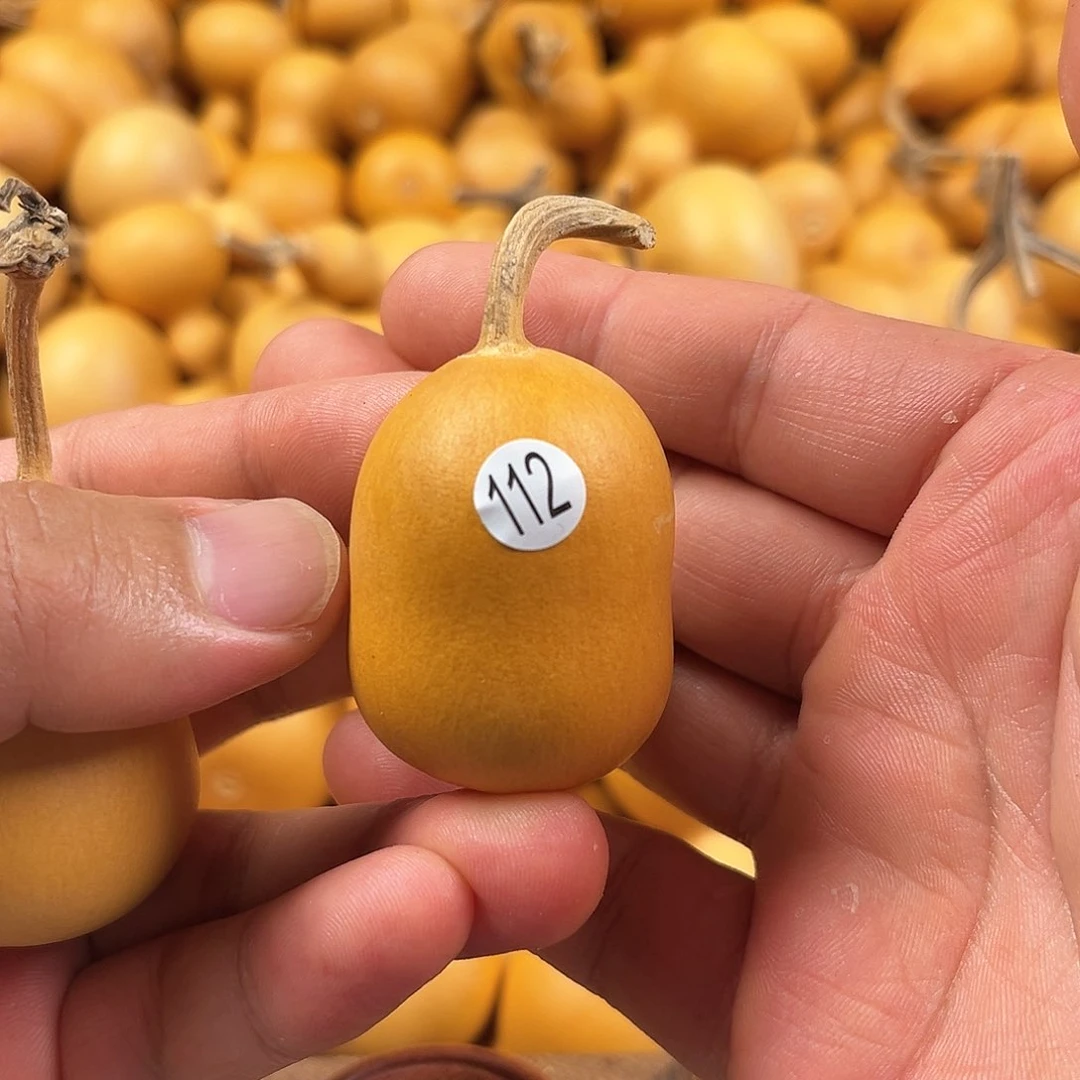 一葫芦葫芦葫芦葫芦112