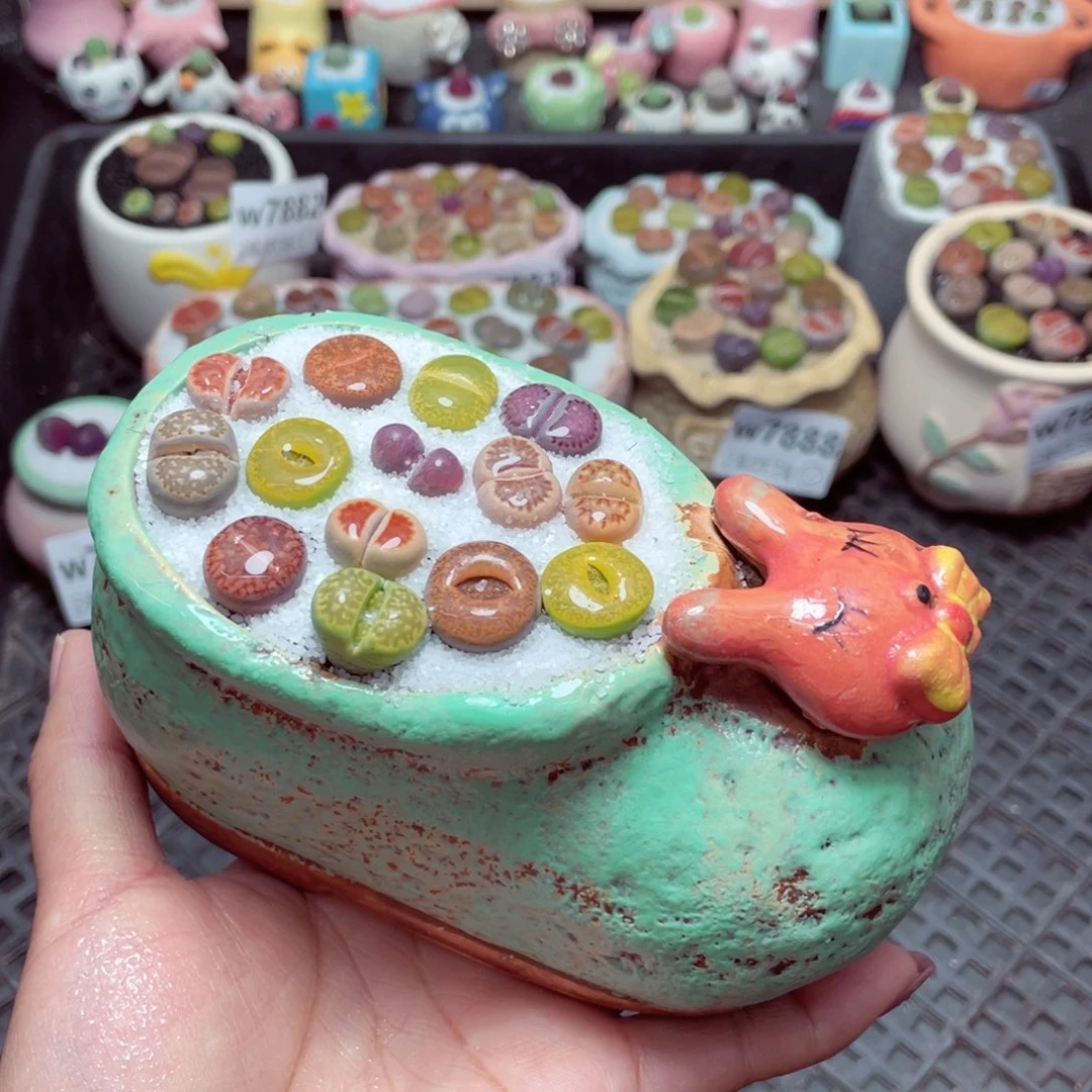 w7891 -零下地区拍保温箱-15支持寄养