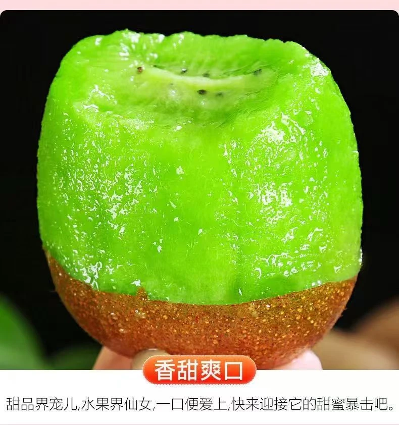 淄博博山源泉碧玉猕猴桃鲜果现摘淄博特产猕猴桃产地博山猕猴桃