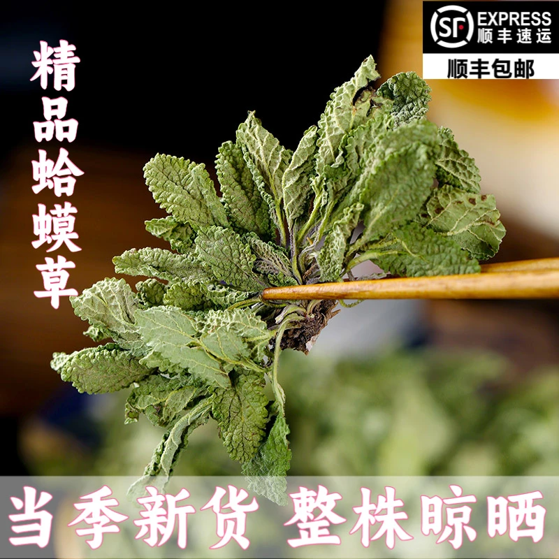 癞蛤蟆草中草荔枝草500g新鲜晒干整颗无硫当季新货泡水泡茶