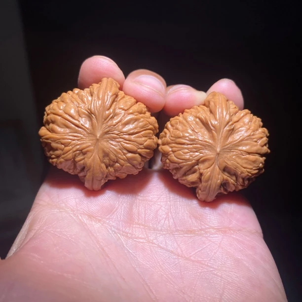 571号39尺寸磨盘全品无修文玩核桃一物一图打好底