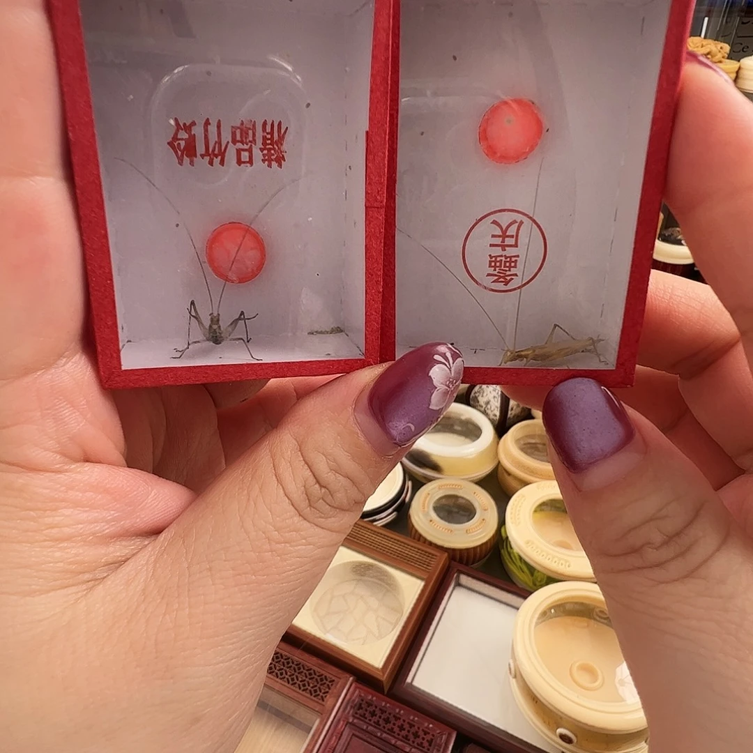 蓝***洋哈哈哈柬埔寨紫竹