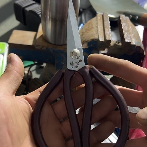 大哥看好下单闪电购