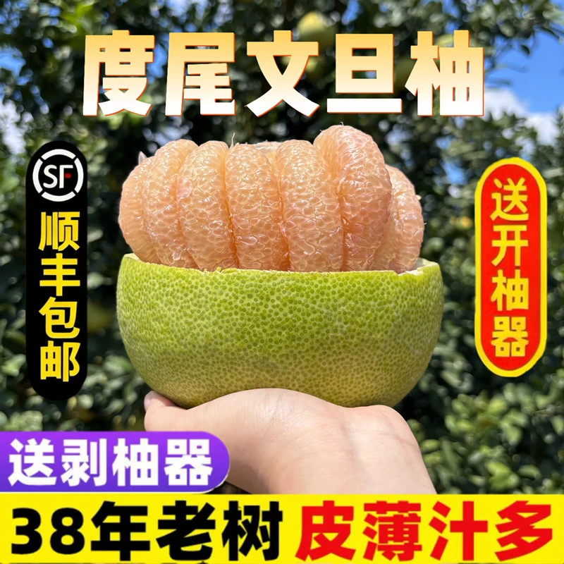 福建度尾文旦柚红心蜜柚老树柚子新鲜应季孕妇时令水果酸甜多汁柚