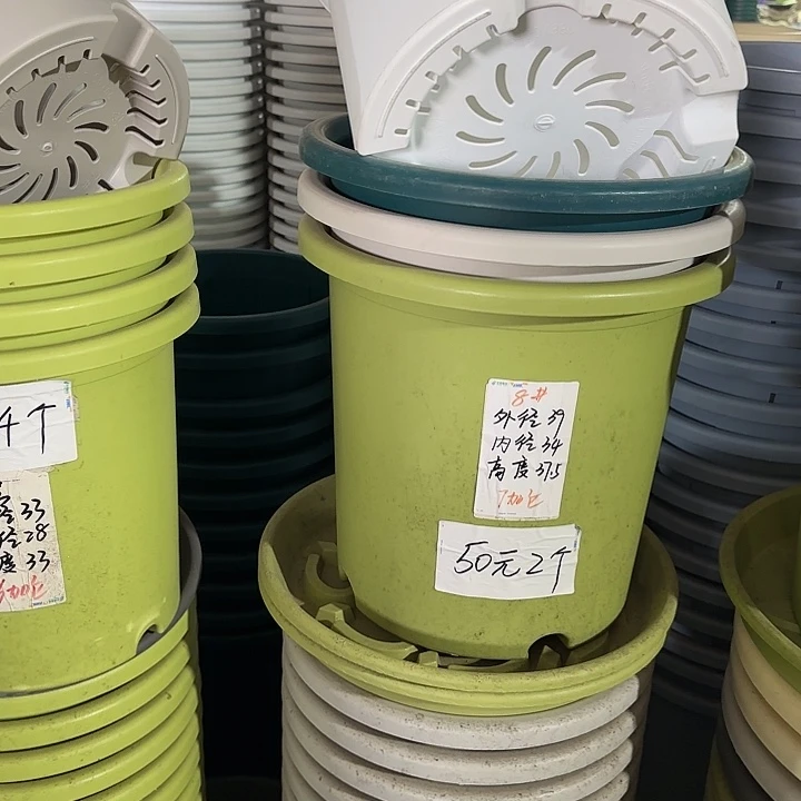 微瑕8#口径39无托果绿3个