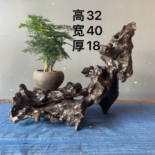 禅意底座绿植茶具瓷器紫砂摆台风化纹理实木根艺根雕茶空间室内