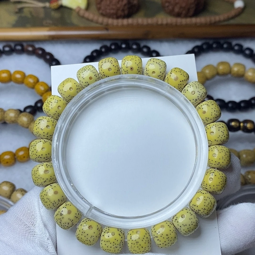 手串星月菩提10月朗星稀毕业