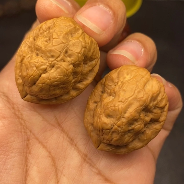 吊坠文玩核桃31尺金刚鹦鹉