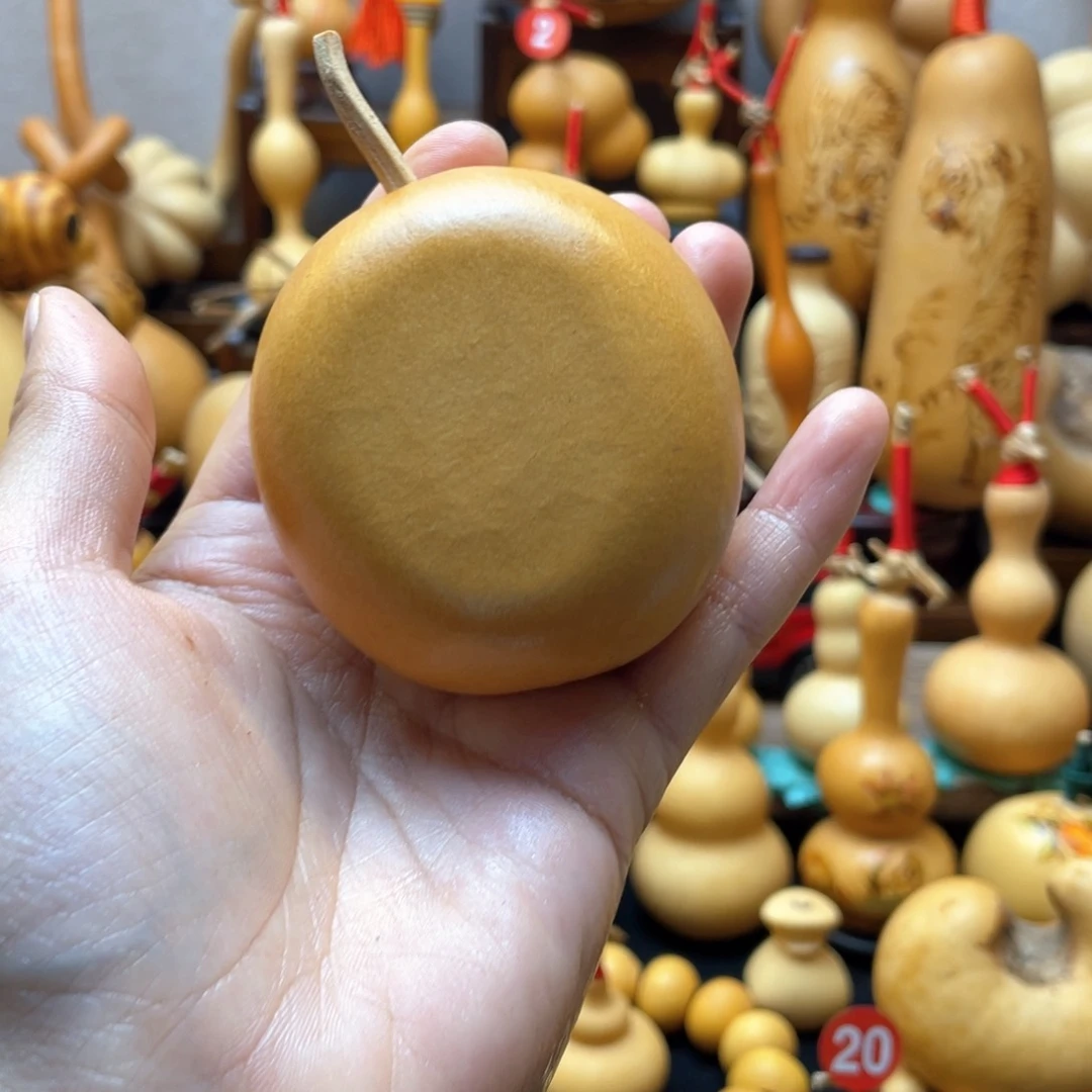 鲸****)大自然的秘密第十一节你是