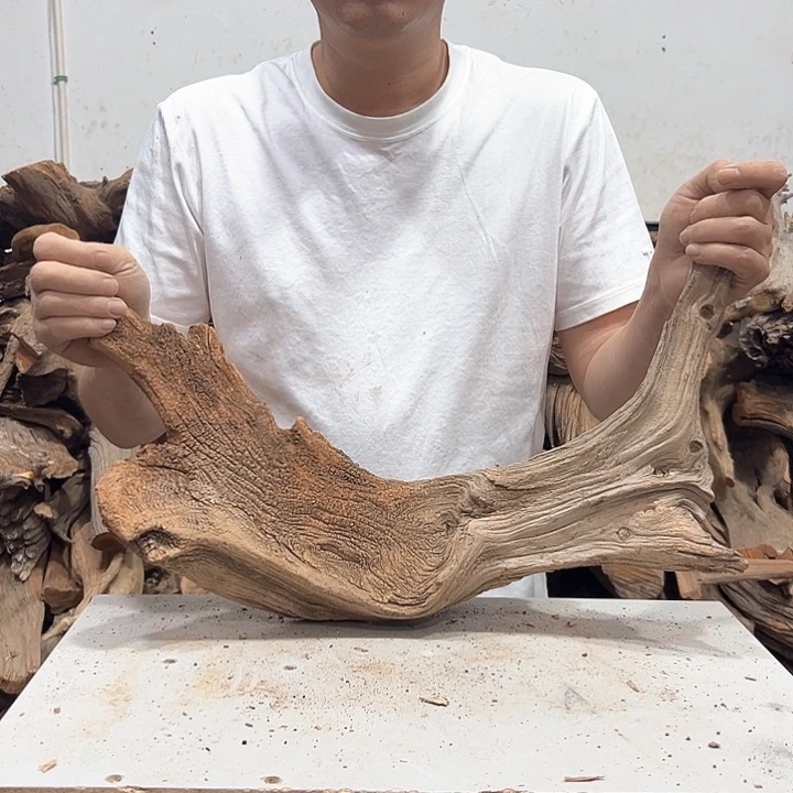 柏木山****司我们都是好孩子呀我也