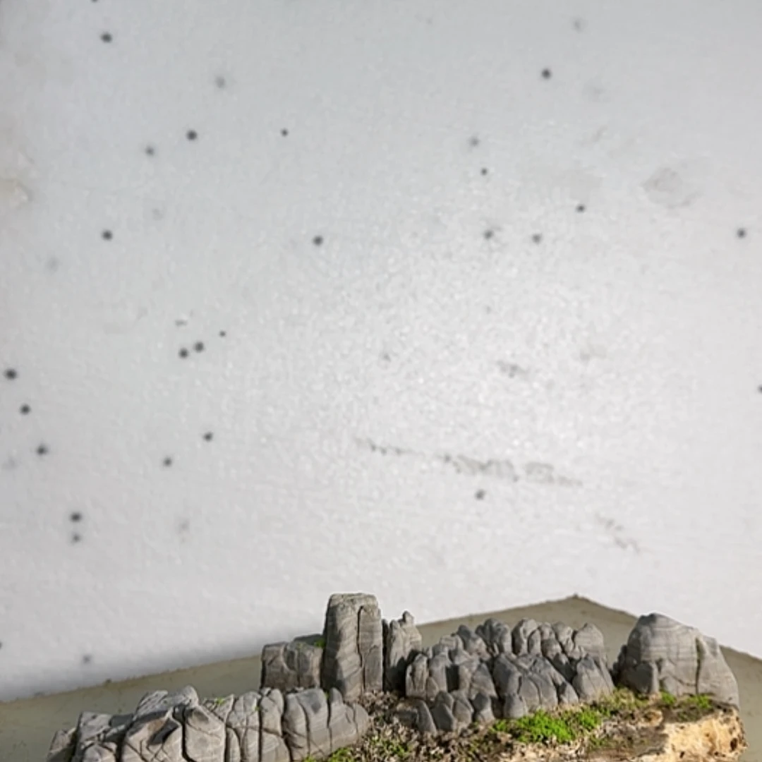 【闪购商品】香榧木惊**瞥这么大岁数就是个好东西大家