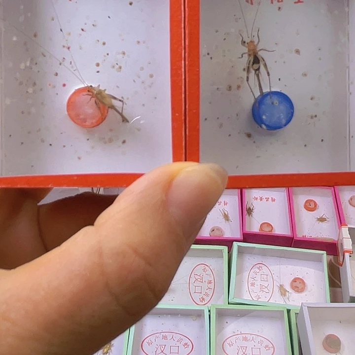 修***志暗端飞机2啊啊啊啊