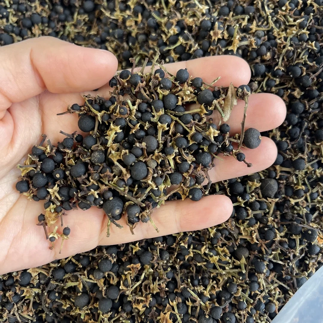 【小颖的茶】2011年新会东甲剪枝小柑胎东甲核心产区拍一发二