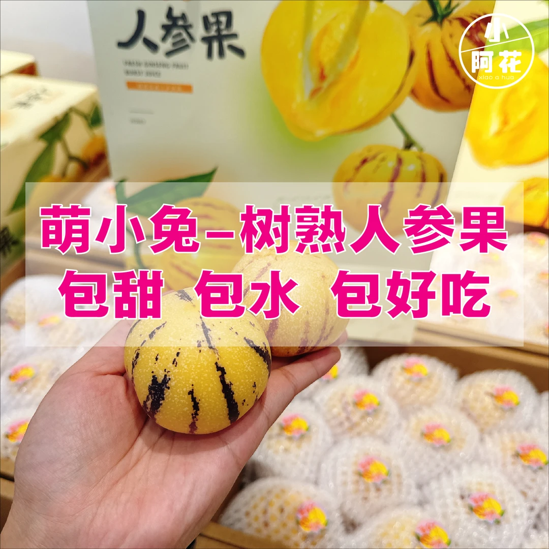 萌小兔-树熟人参果礼盒