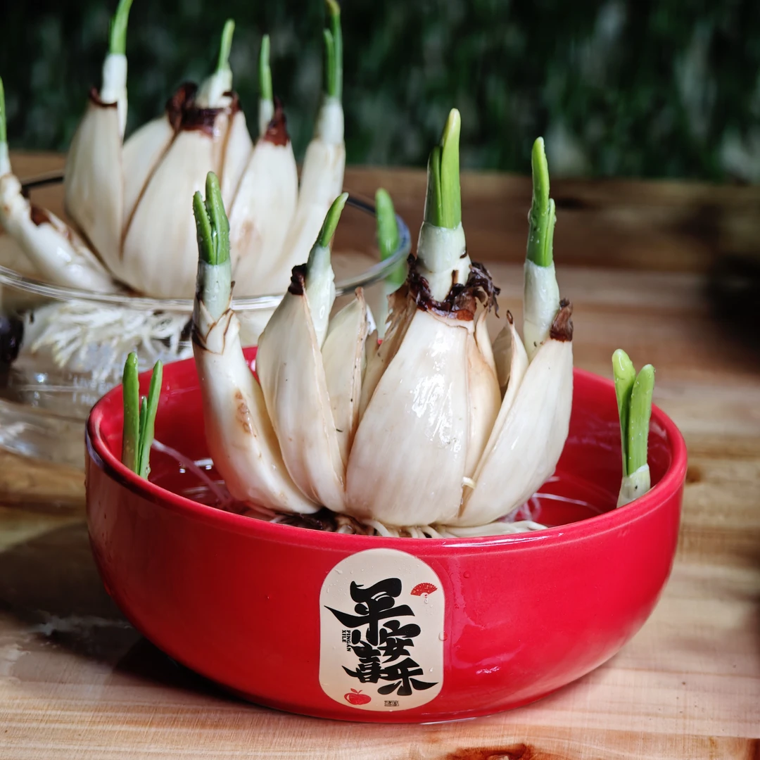 【单独拍不发货】拍下大花王后，有需要自行拍下，一起发货