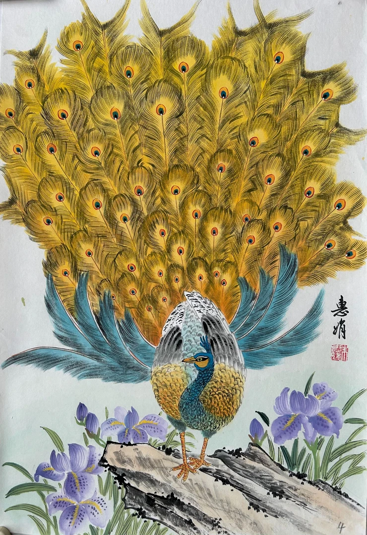 (朱老师专属)惠雅斋孔雀合集直播回放视频课