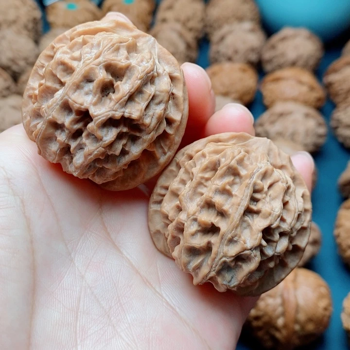 文玩核桃把件苹果园41全品