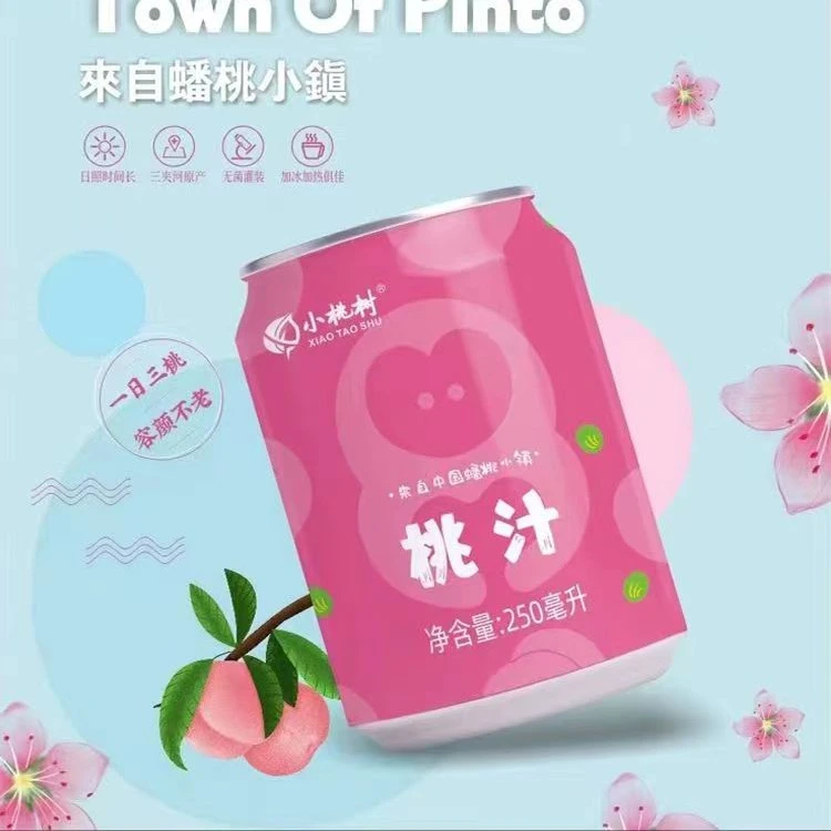 桃汁2-20罐礼盒装整箱100%果汁饮品无添加健康果汁饮料