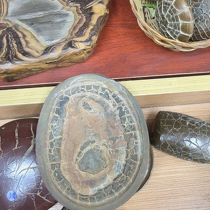 无***回石材龟纹石最低哥