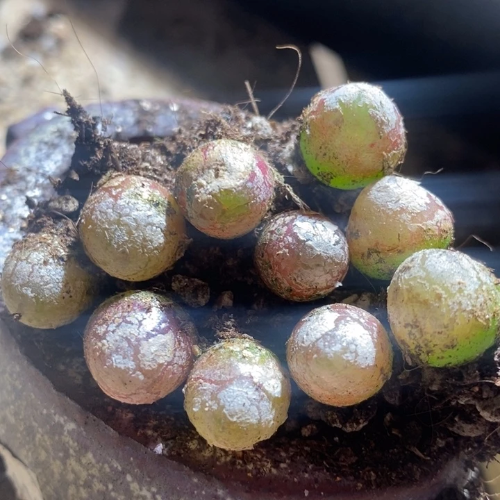 23227一组一组一组