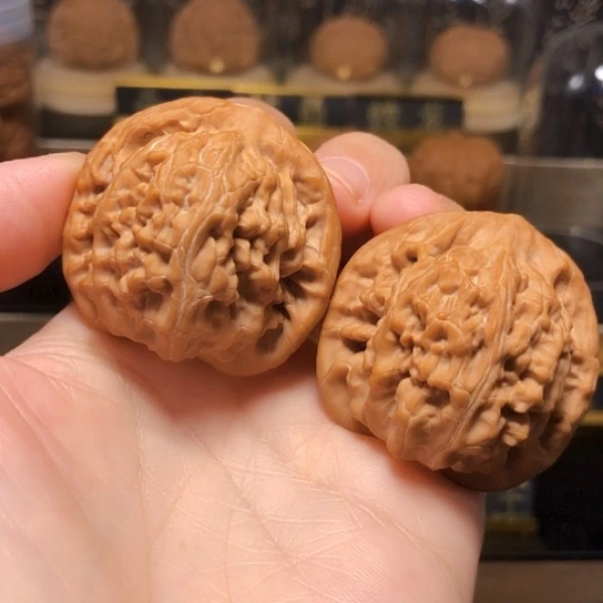 精品:望月狮子头