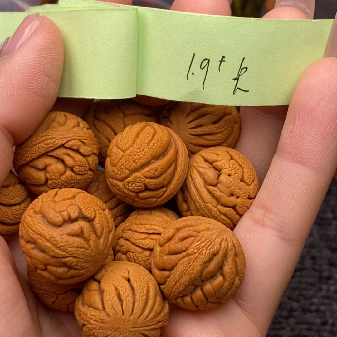 秦岭山脉龙纹桃核 14