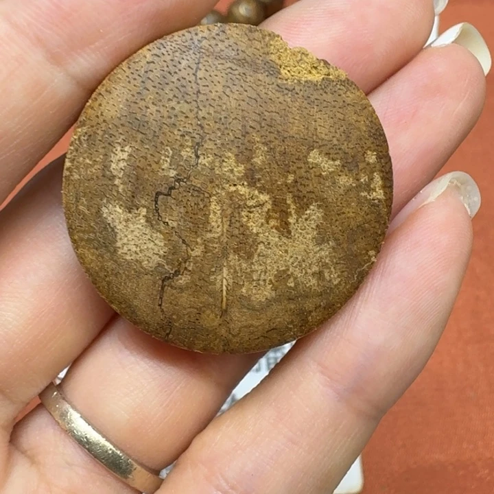 大叶紫檀（黑酸枝木类）